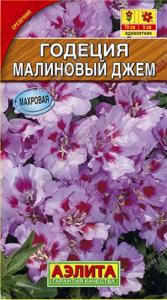Годеция Малиновый джем, махровая (Аэлита)