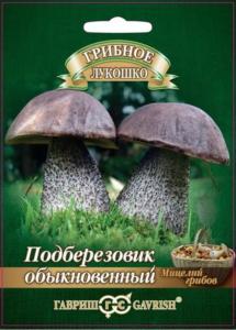 Мицелий Подберезовик на зерновом субстрате 15 мл (Гавриш)