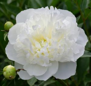 Скриншот 14-04-2026 145858