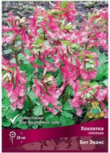Скриншот 14-09-2026 152452