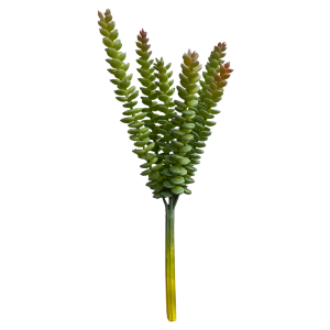 1 1