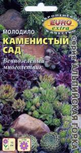 Молодило Каменистый сад, смесь Аэлита (д-цв.ковров)