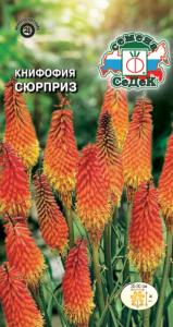 Книфофия Сюрприз ягодная 0,2г Мн 100см (Седек)