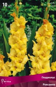 Гладиолус гофрированный Роксанна 10шт (ярко-желтый, 10/12, 150см)