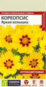 Кореопсис Яркая вспышка крупноцв 10шт (Сем Алт)