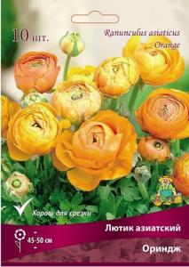 Лютик азиатский Ориндж 10шт (45-50 см, цветки полумахровые оранжевые, 7-8) Лютик азиатский Ориндж 10шт (45-50 см, цветки полумахровые оранжевые, 7-8)