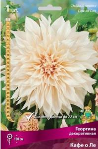 Георгина Кафе о Ле 1шт.