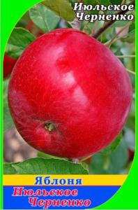 Яблоня Июльское Черненко 2022 гп раннелетний сорт (V8) (ПДИ)