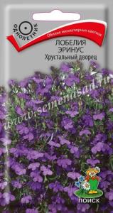 Лобелия Эринус Хрустальный дворец 0,1г. КУСТОВАЯ Поиск Лобелия Эринус Хрустальный дворец 0,1г. КУСТОВАЯ Поиск