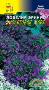 Лобелия Фиолетовое море КУСТОВАЯ Цвет.сад. Лобелия Фиолетовое море КУСТОВАЯ Цвет.сад.