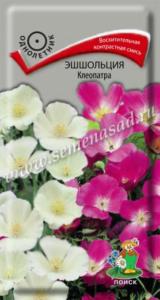 Эшшольция Клеопатра (ЦВ) (