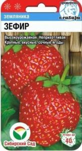 Земляника (Клубника) Зефир (Сиб. сад.)