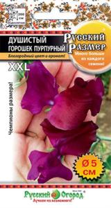 Душистый горошек Русский размер Пурпурный 6 шт. НК