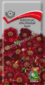 Кореопсис красильный Амулет (ЦВ) (