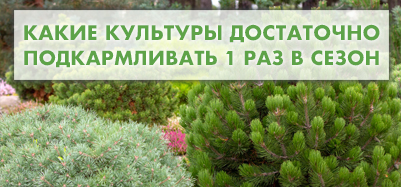 Какие культуры достаточно подкармливать 1 раз в сезон