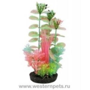 РР ОСТРОВОК С РАСТЕНИЯМИ СВЕТЯЩИМИСЯ 