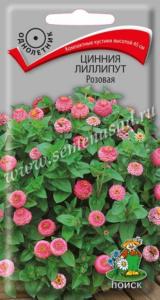 Цинния Розовая лиллипут 0,4г Поиск