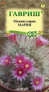 Маммиллярия Мария бокасанская (Кактус) 2шт Комн (Гавриш)