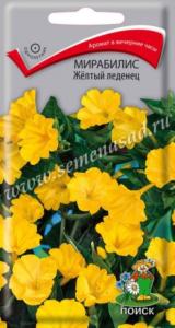 Мирабилис Желтый леденец 1г Поиск