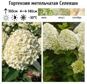 Скриншот 30-11-2023 103257