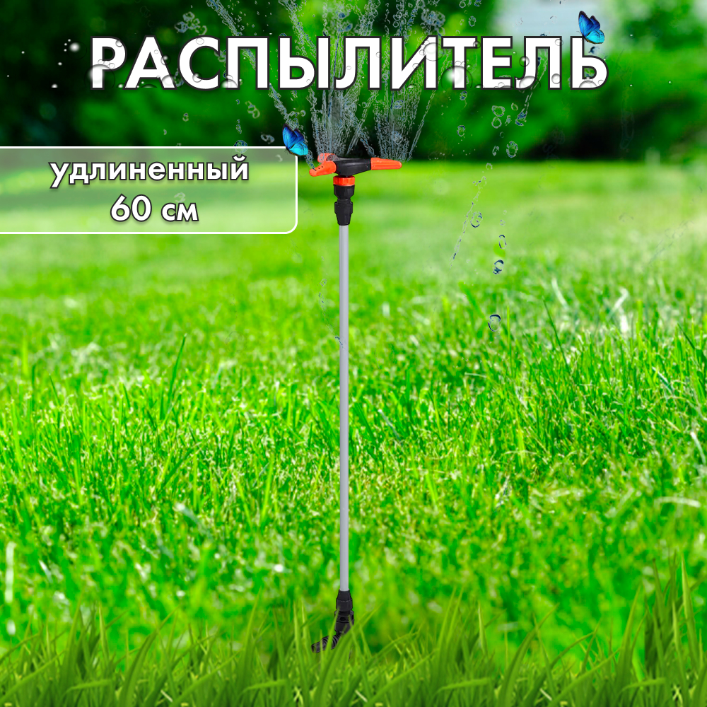169954 2 169954 2