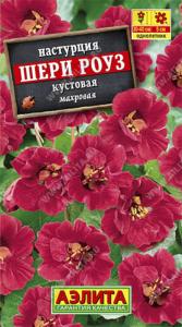 Настурция Шерри Роуз карлик. Аэл.