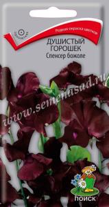 Душистый горошек Спенсер божоле 1гр. Поиск