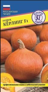 Томат Шоколадный 5шт Дет Ср (Престиж)
