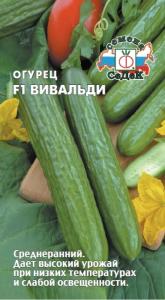 Огурец Вивальди  F1 (Евро, 3) Седек