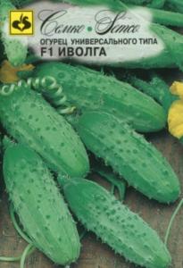 Огурец Иволга F1 5шт Парт Ранн (Семко)