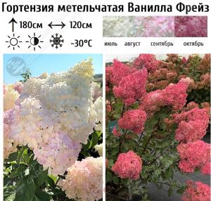 Скриншот 16-04-2026 101108
