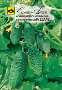 Огурец Удалец F1,Парт,без горечи,холод, Семко