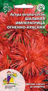 Астра Шальная императрица огненно-красная игольчатая 0,2г Одн 70см (УД)