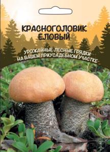 Мицелий Красноголовик гриб Еловый 30мл (ССПК) Б-Ф