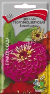 Цинния Волшебная роза, георгин. 0,4г. Поиск
