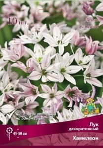 Лук декоративный Хамелеон 10шт ( розовый, белый, пурпурный, желтый, 5-6, h40см) Лук декоративный Хамелеон 10шт ( розовый, белый, пурпурный, желтый, 5-6, h40см)