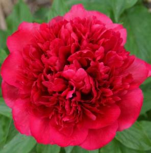 Скриншот 14-04-2026 150419