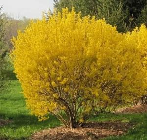 Скриншот 21-04-2026 150228