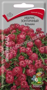 Иберис Вспышка 0,3г.Поиск