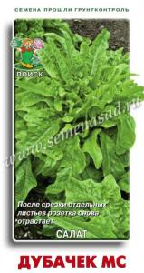 Салат Дубачек МС листовой 1г Ранн (Поиск)