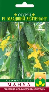Огурец Младший лейтенант F1 Манул Огурец Младший лейтенант F1 Манул