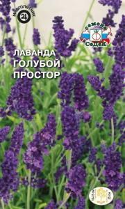 Лаванда Голубой Простор (английская) (Седек)