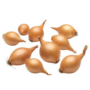 Лук-севок Стурон (1)