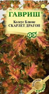 Колеус Блюме Скарлет Драгон 4шт Одн 50см (Гавриш) Элитная клумба