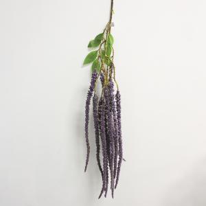 00000182884.1 00000182884.1