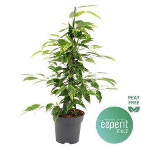 Скриншот 18-02-2026 113208