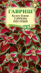 Колеус Тэррено пестрый х5 шт, Н17 Гавриш