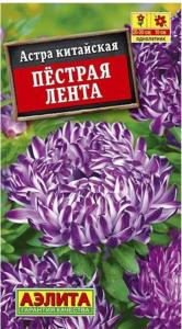 Астра Пестрая лента (Аэлита)