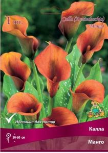 Калла Манго 1шт 14-16