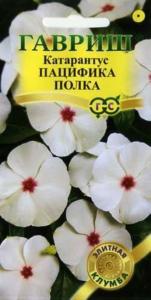 Катарантус Пацифика Полка 7шт. Элитная клумба